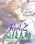 精灵之竞技大师